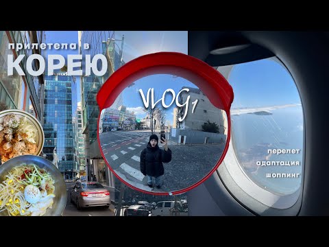 Видео: первый модельный контракт В СЕУЛ | перелет, адаптация, еда и жизнь | vlog