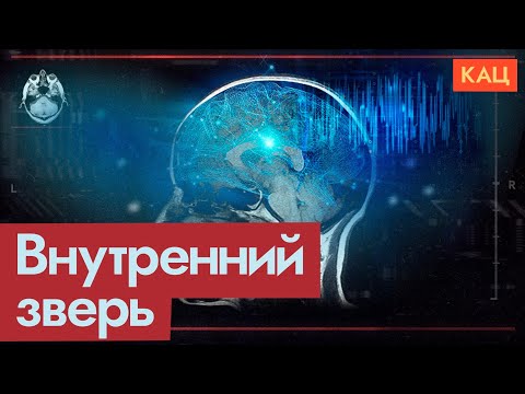 Видео: Что делает из людей зверей | Психология насилия (English subtitles) @Max_Katz