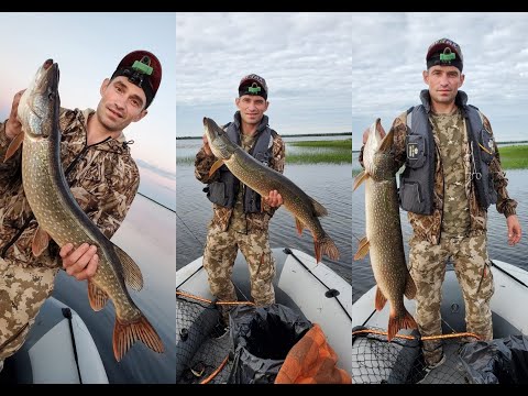 Видео: Эту рыбалку я запомню на долго.в северной глуши на трофейном озере попали на раздачу крокодилов.