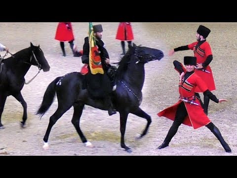 Видео: Кабардинские лошади и "Абреки" из Майкопа покорили Петербург! выставка #Иппосфера 2018 #Hipposphere