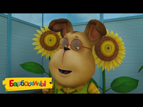Видео: Барбоскины 🌻🌻🌻 Букет от Гены 🌻🌻🌻 Мультики для детей