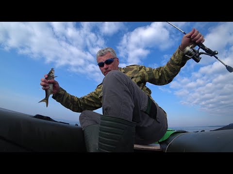 Видео: сделал джиг головку за 10 секунд и наловил рыбы.