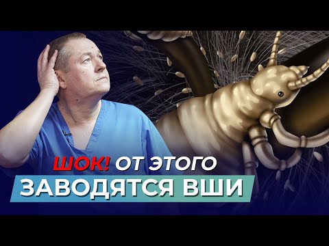Видео: Откуда берутся вши и как они влияют на печень? Мифы и факты о паразитах