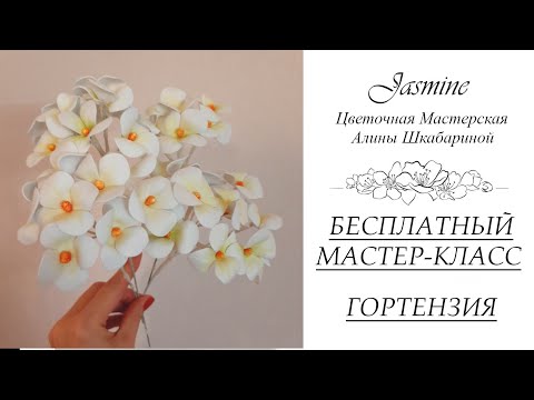 Видео: БЕСПЛАТНЫЙ МАСТЕР-КЛАСС - ГОРТЕНЗИЯ (фоамиран)