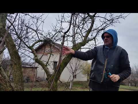 Видео: Превръщане на Лакомец в клон.