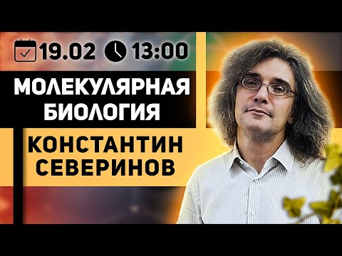 Видео: Константин Северинов. Тесты на отцовство, криминалистика и геном.
