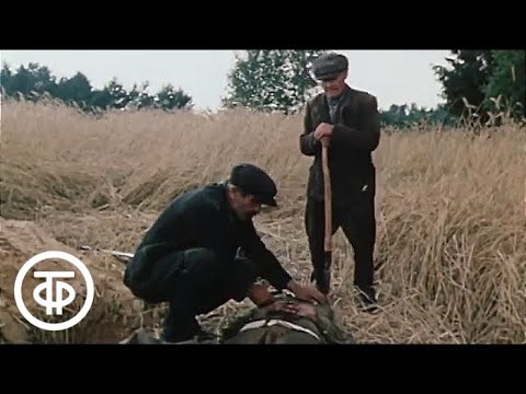 Видео: Плач перепелки. Серия 1 (1990)