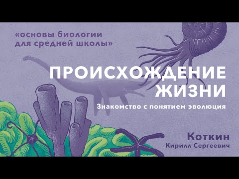 Видео: 9. Происхождение жизни. Знакомство с понятием эволюция