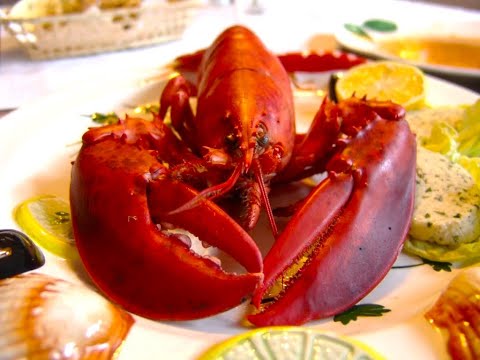 Видео: Как есть лобстера. Что есть в лобстере. Лобстер. #lobster #seafood #delicious