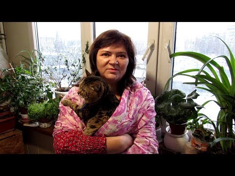 Видео: Как УБЕРЕЧЬ наши КОМНАТНЫЕ  РАСТЕНИЯ от любимого КОТА.