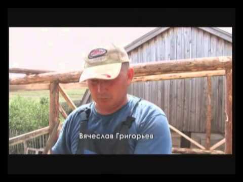 Видео: "Марий Эл. Из Шоруньжи с любовью" (Марийцы)