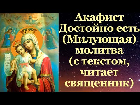Видео: Акафист Пресвятой Богородице пред иконой «Достойно есть» («Милующая»), читает о. Константин