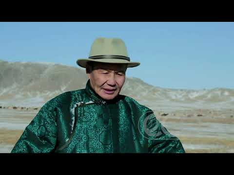 Видео: Hello CEO - Д.Гомбо-Очир Төв аймгийн Эрдэнэ-Сант сумын мянгат малчин