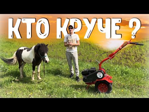 Видео: После такого теста "Коня" еле откачали... Мотоблок Агат 8.0 л.с. творил чудеса!!!