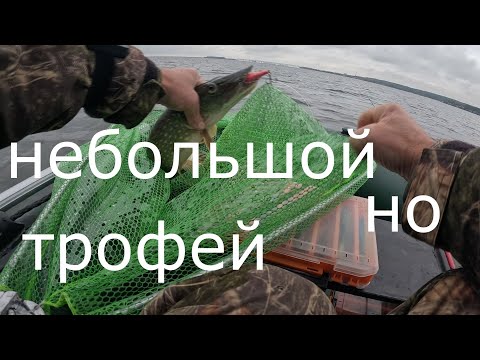 Видео: ЩУКА на ВОБЛЕР.  Небольшой, но Трофей.  ( Воблер INQUISTOR 110 SP ).