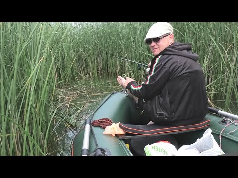 Видео: Карась Рыбалка в Камыше Скользящий Поплавок Мормышка Мастырка