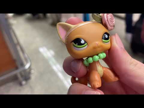 Видео: Lps влог: лечу на Мальдивы✈️🥥