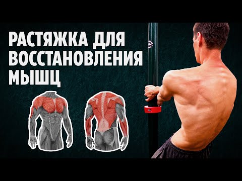 Видео: Растяжка после тренировки — как ускорить восстановление мышц?