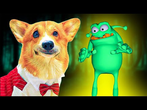 Видео: КАМНЕЕЖКА НАПАЛ НА НАС!! (Корги Коржик) Говорящая собака