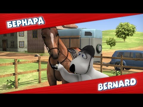 Видео: БЕРНАРД: Конный спорт и многое другое | Подборка серий