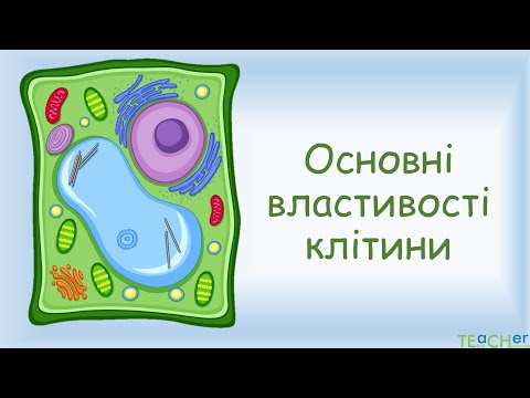 Видео: Основні властивості клітин