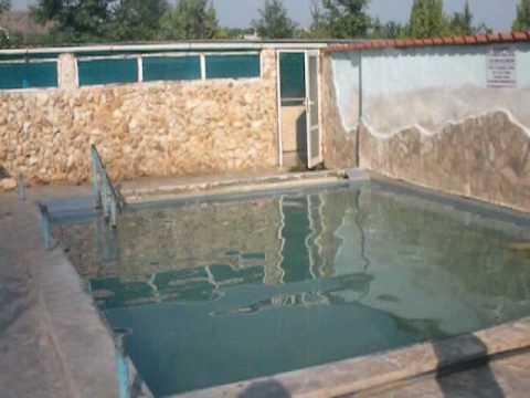 Видео: Рупите - природен лечител