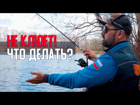 Видео: НЕ КЛЮЕТ!  Как уговорить рыбу на поклевку? Отрабатываю гипотезы. ВЕСНА | ФИДЕР | ДОНКА