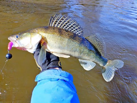 Видео: НАШЛИ МНОГО РЫБЫ!!! Рыбалка с ночёвкой. 2-я Часть