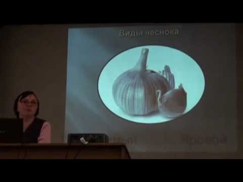 Видео: Выращивание чеснока