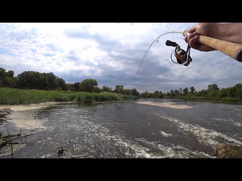 Видео: ГОЛАВЛЬ НА ПЕРЕКАТЕ!!! Попал на клев голавля (и не только))!!!