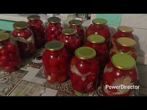 Видео: 🏡 Моё день рождения🎂🎉🎁 Закатки, закатки, закатки. 