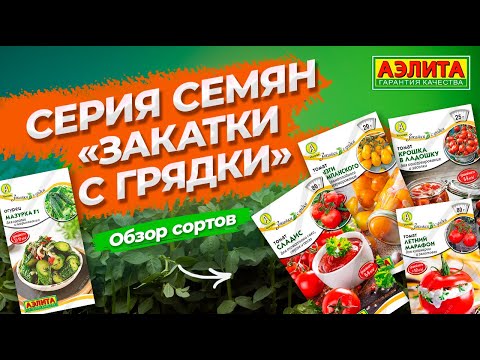 Видео: Выбирайте эти сорта томатов для заготовок! Серия семян ЗАКАТКИ С ГРЯДКИ