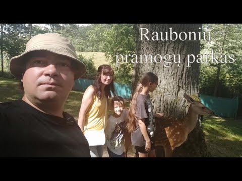 Видео: Парк развлечений "Raubonių" Литва 07/24