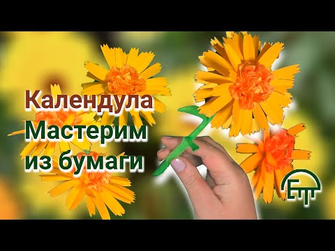 Видео: Календула. Мастерим из бумаги.