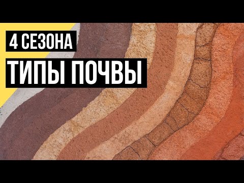 Видео: Четыре сезона. Типы почв