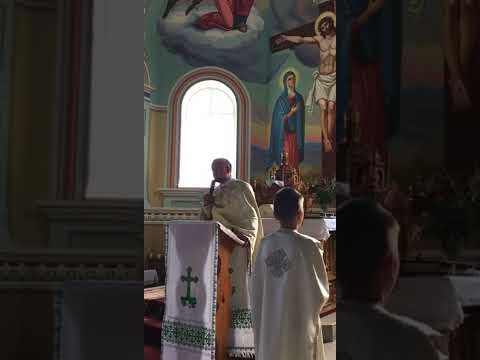 Видео: Проповідь о.Юрій Вовк: «Божа благодать допомогає осягнути святість»