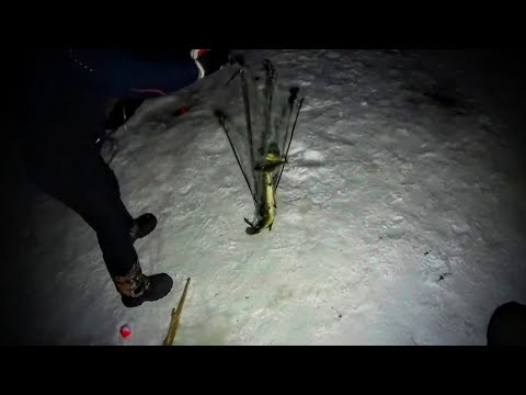 Видео: Хапнули рыбы на хапуги ночью!