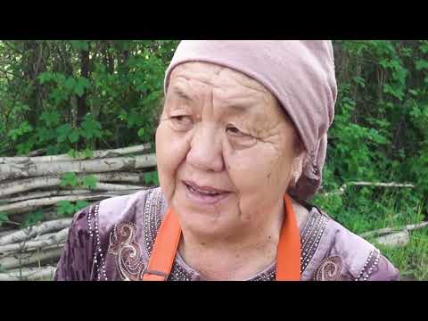 Видео: 1-сабак: Үрөндү тандоо жана сактоо