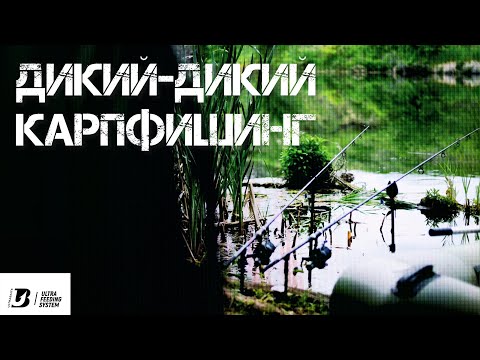 Видео: Дикий-дикий карпфишинг! Рыбалка в завоз! КЛЮНУЛ ТРОФЕЙ! Все пошло не по плану...