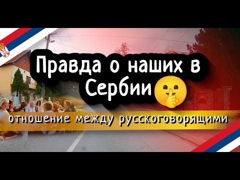 Видео: Как на самом деле русскоязычные общаются между собой в Сербии | Наш опыт в г.Зренянин