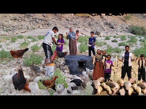Видео: Кочевая семья ловит рыбу на горной реке | Традиционная кухня и строительство курятника