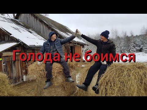 Видео: Даже суровая зима теперь нам не страшна . Голода ближайший год на хуторе точно не будет .