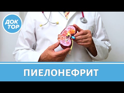 Видео: Что делать, если поставили диагноз пиелонефрит