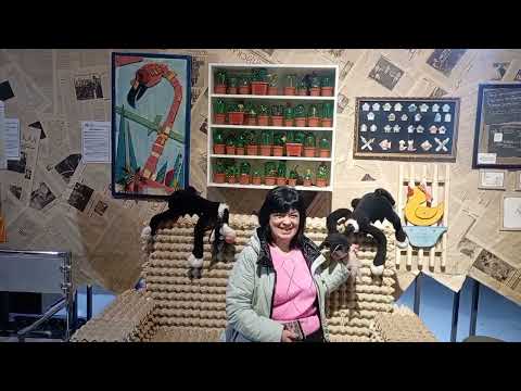 Видео: 5 ноября 2025 г.