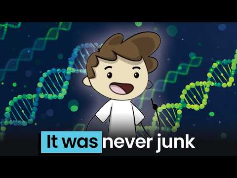 Видео: Ученые заявили, что 98% вашей ДНК бесполезны (они ошибались)