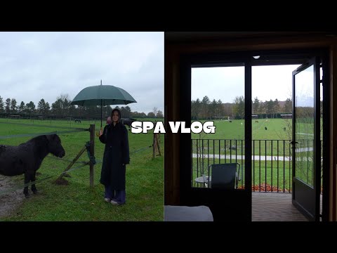 Видео: SPA-отель в 40 минутах от Парижа: природа, лошади, велики, nordic bath и  рум-тур