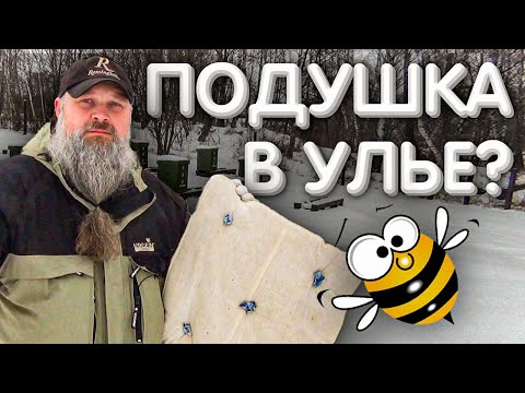 Видео: УТЕПЛЯТЬ, или НЕ УТЕПЛЯТЬ пчёл в зиму? [1/4] Зимовка ПЧËЛ на улице.