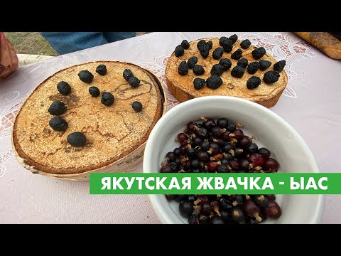 Видео: Якутская жвачка - ыас