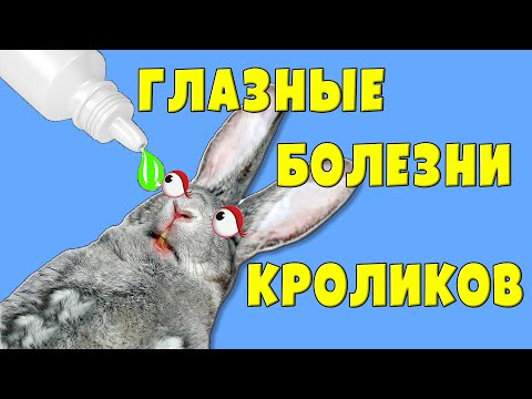 Видео: Болезни глаз у кроликов