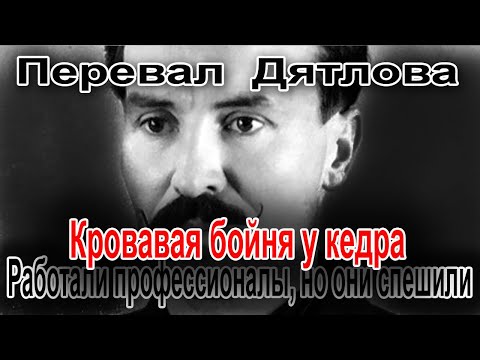 Видео: Перевал Дятлова. Работали профессионалы, но они спешили
